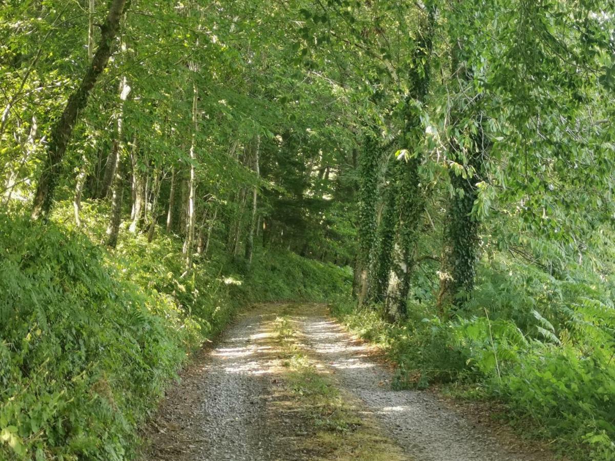 Domaine LVD avec SPA, bois et rivière privée La Bloutiere Extérieur photo