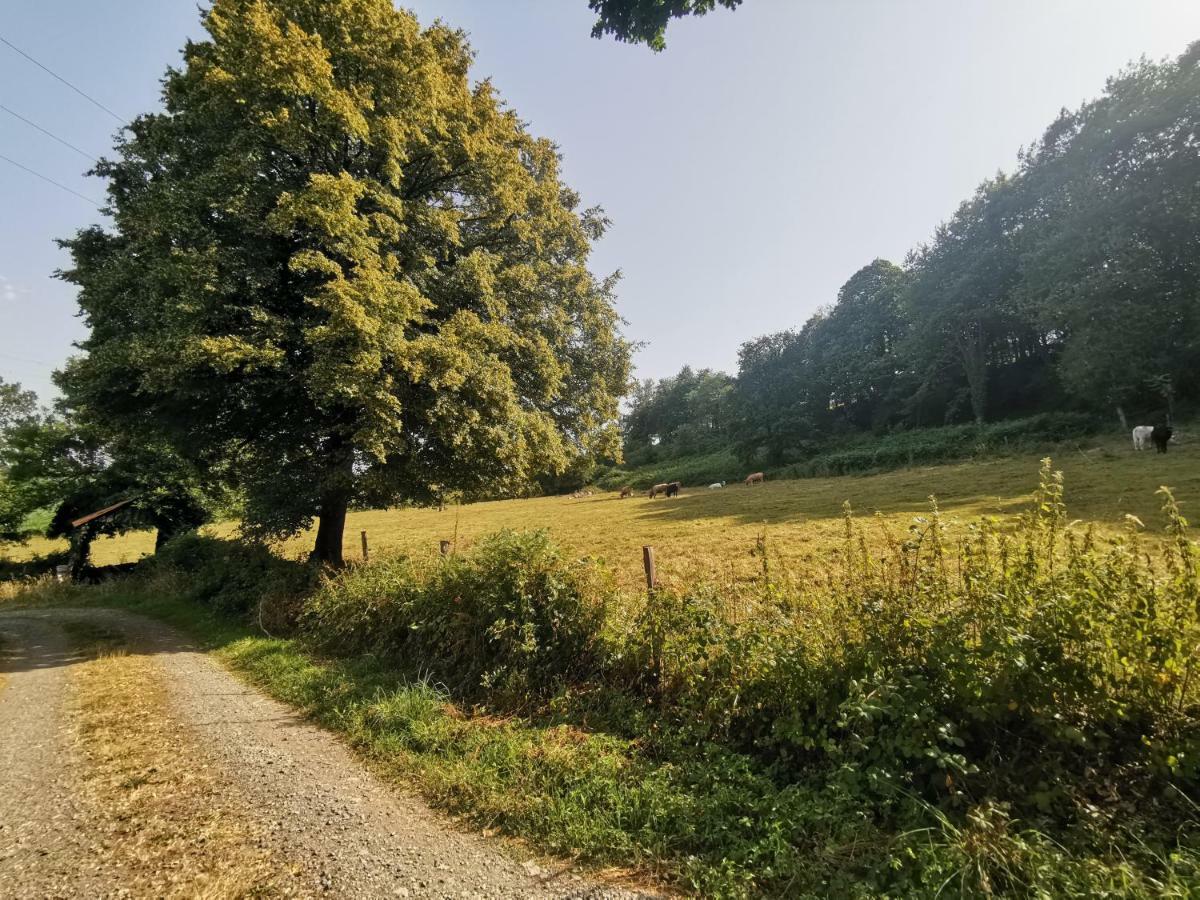 Domaine LVD avec SPA, bois et rivière privée La Bloutiere Extérieur photo