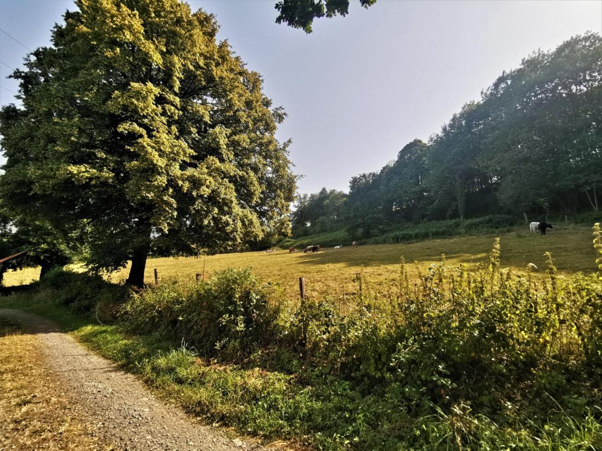 Domaine LVD avec SPA, bois et rivière privée La Bloutiere Extérieur photo
