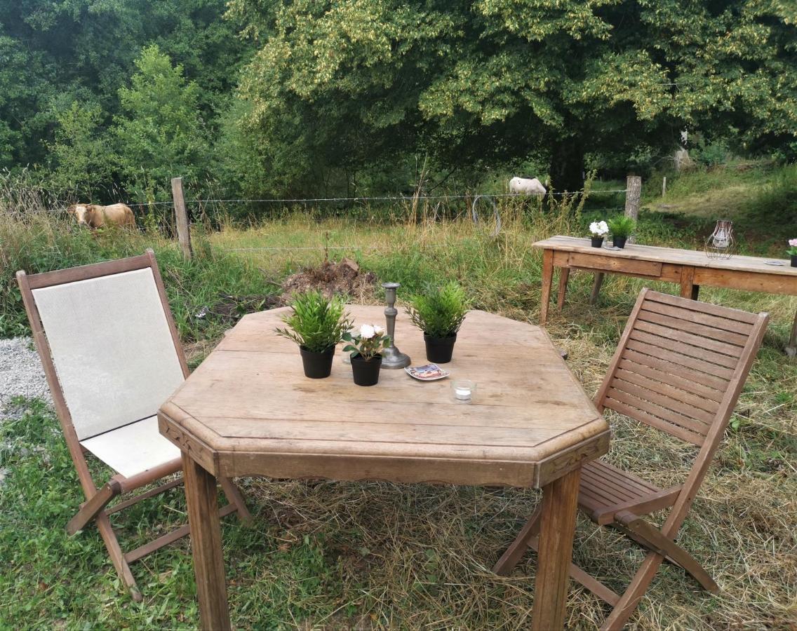 Domaine LVD avec SPA, bois et rivière privée La Bloutiere Extérieur photo