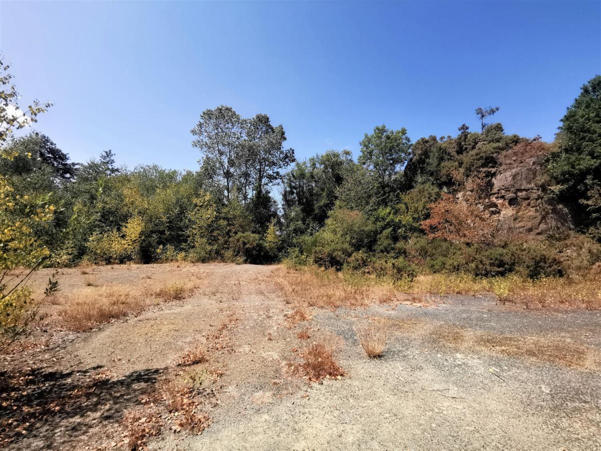 Domaine LVD avec SPA, bois et rivière privée La Bloutiere Extérieur photo