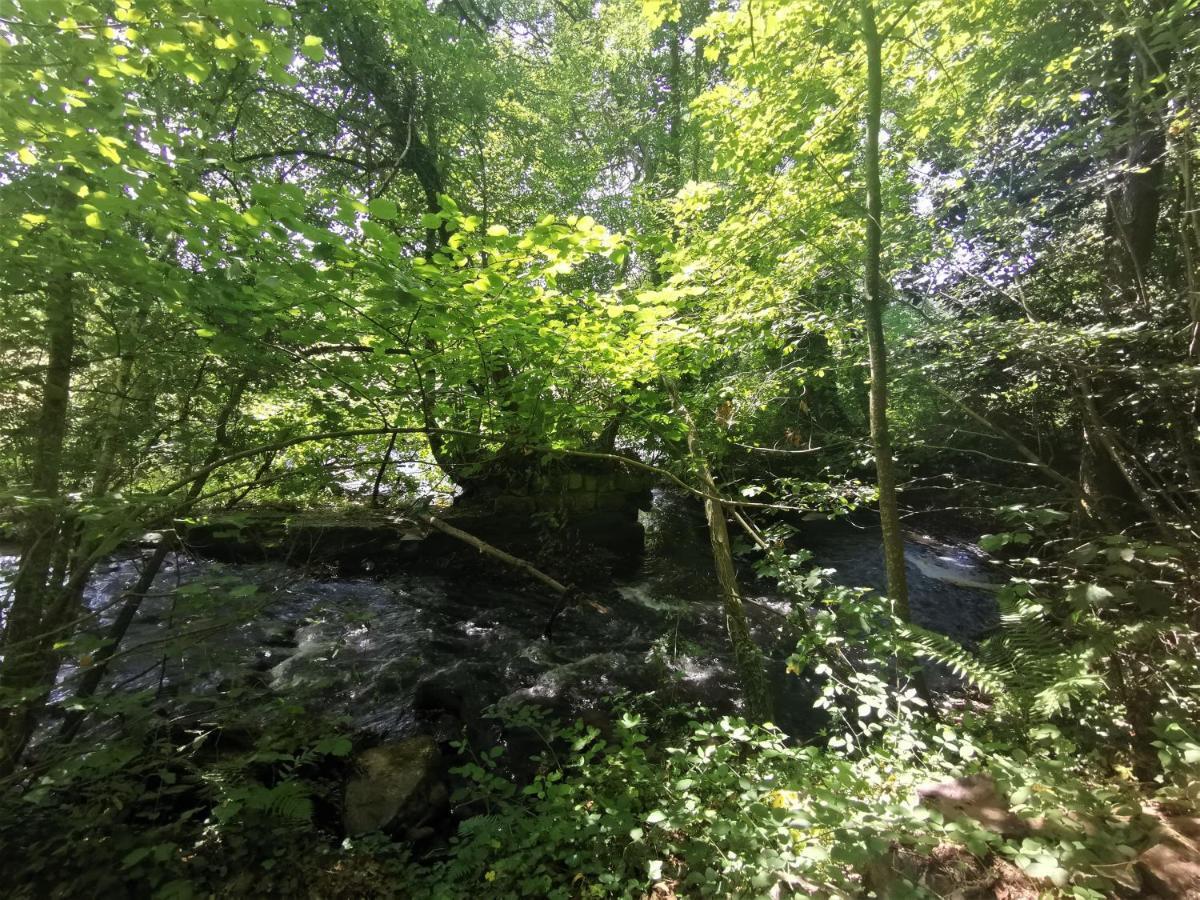 Domaine LVD avec SPA, bois et rivière privée La Bloutiere Extérieur photo